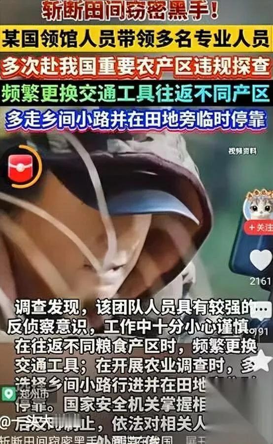 粮食地现可疑人？

细查竟是间谍黑手！最近有迹象显示，部分粮食主产区出现不明人员