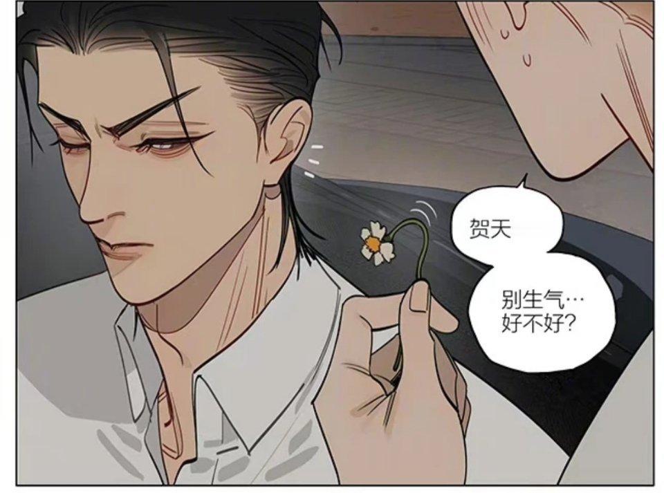 十九天[超话]莫仔用一朵花哄好贺天19天 作者：old先 ​​​