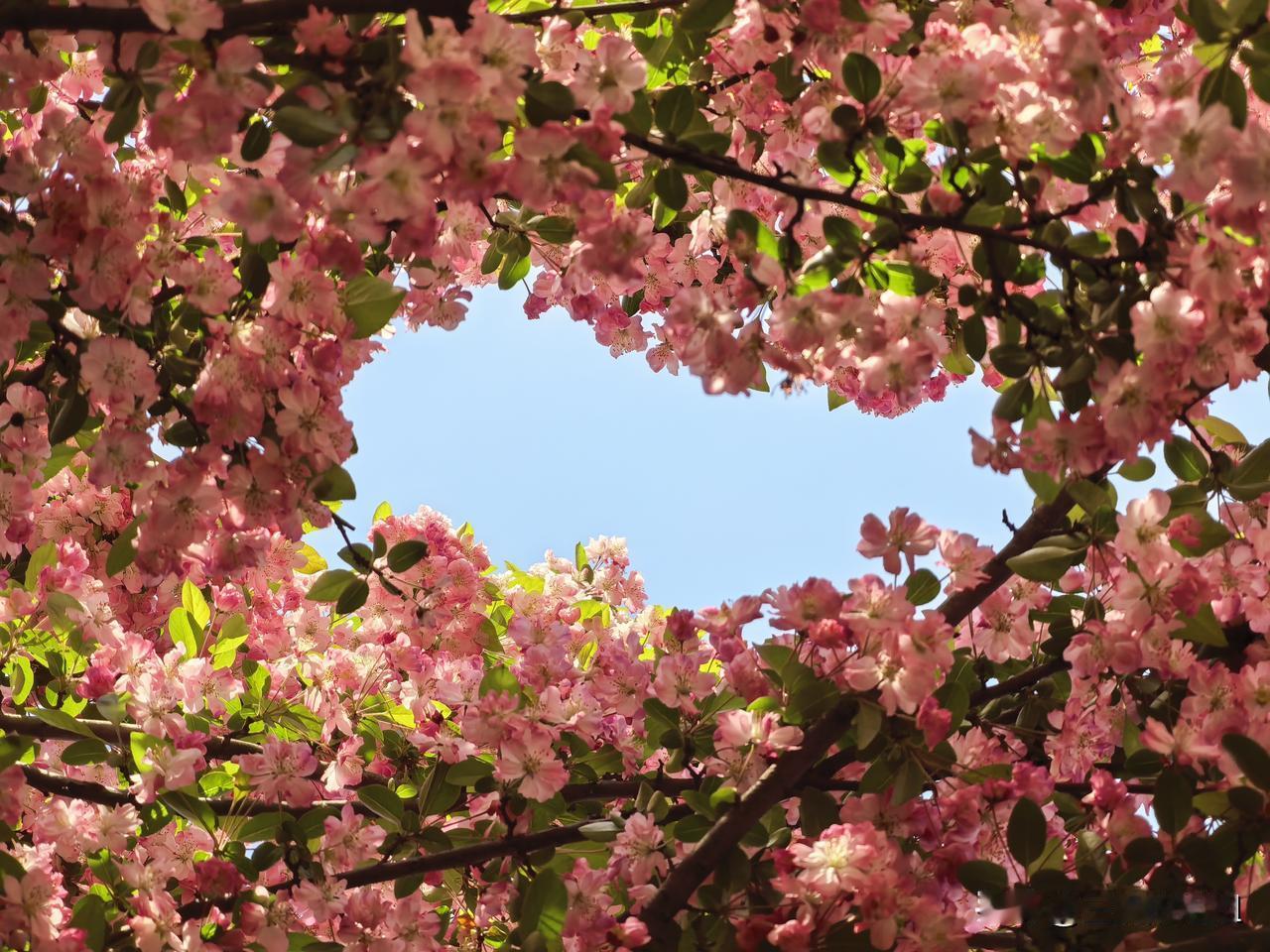 “我同事打了一针效果很明显，我都打了三针却并不管用……”那天一起工作的一位老师闲