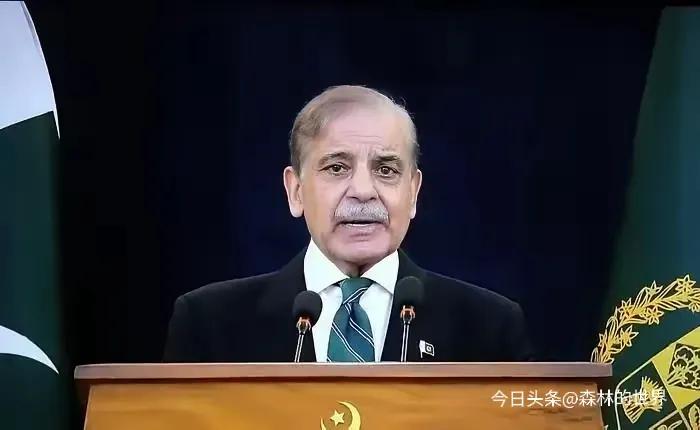 巴基斯坦和美国达成共同开发矿产资源协议，可把大伙惊到了。
要知道，巴基斯坦经济一