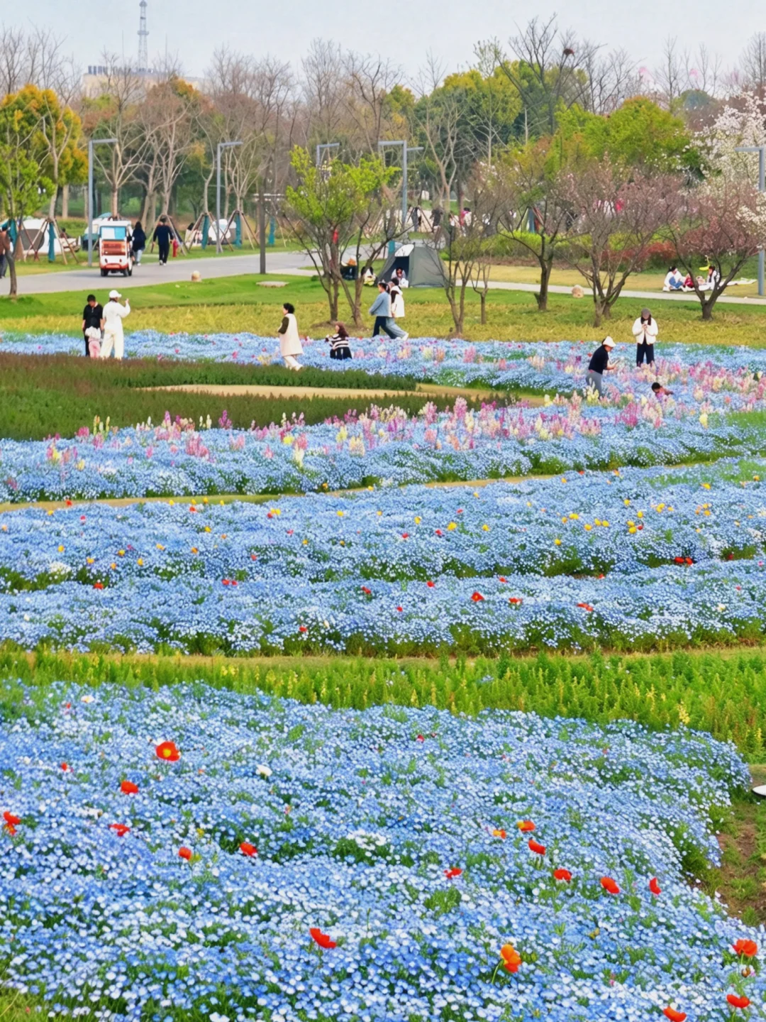 4.4实拍！上海的春和景明，简直是露营天花板！