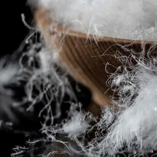 近日，一名男子称自己花费1650元购买的羽绒服内部填充的是飞丝，因此要求商家退一