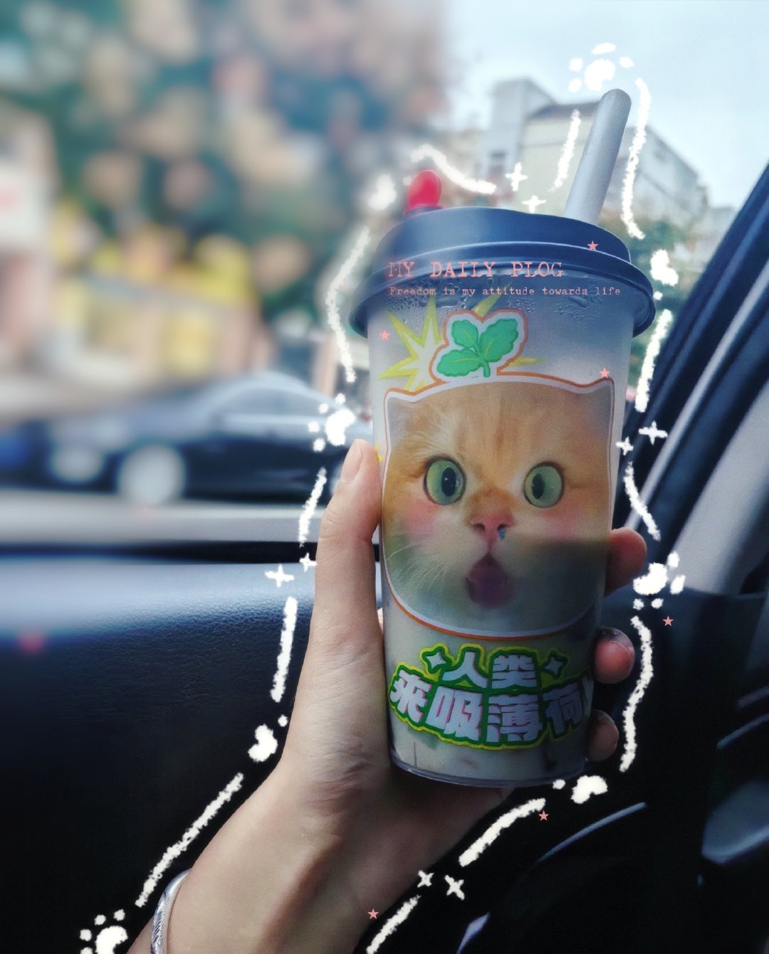 来喝猫薄荷🐱 ​​​