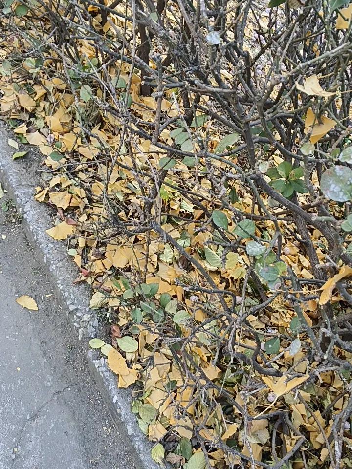 出门买菜回来被大妈的“骂人技术”硬控了半个小时，因为楼上的“夫妻生活”动静太大，