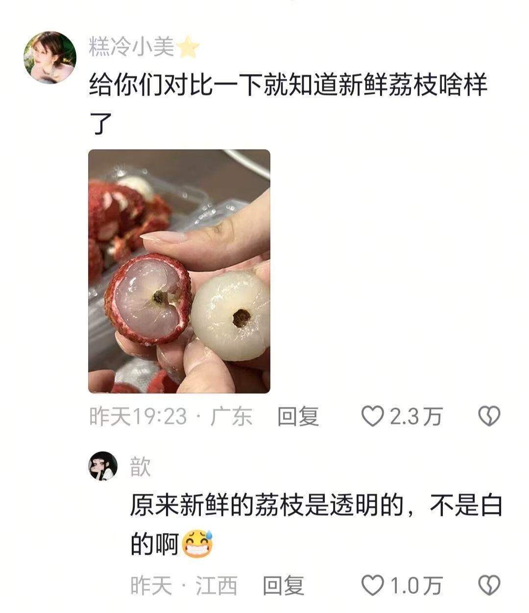 原来我从未吃过新鲜的荔枝 