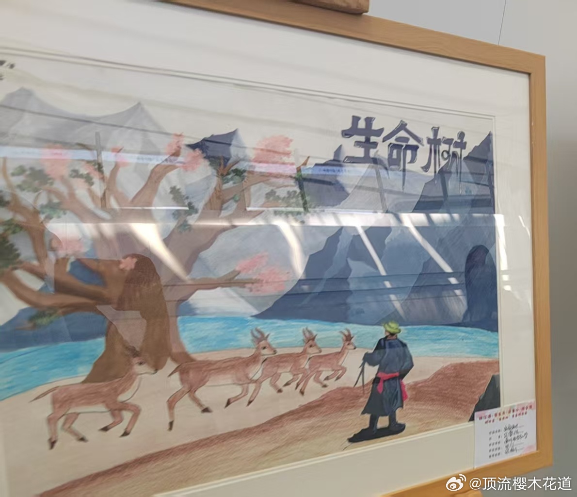 青海到达，在机场看到了生命树。 