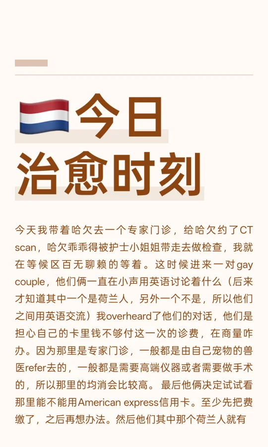 🇳🇱今日治愈时刻