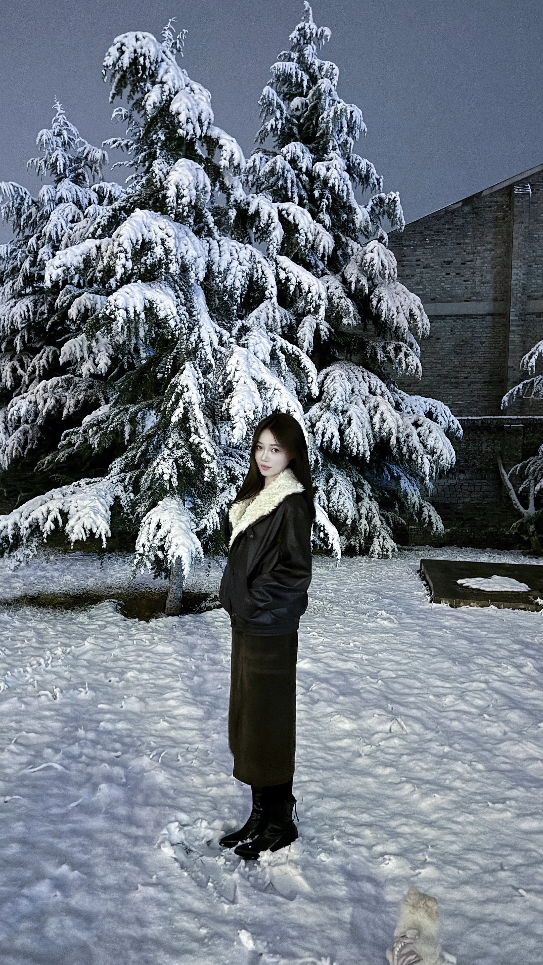 新年宴然 前路昭昭