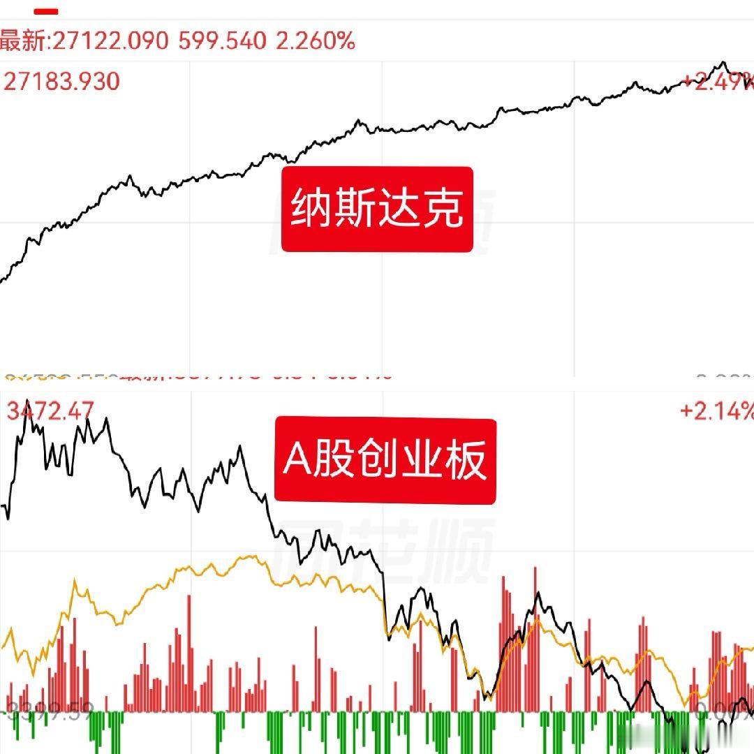 高开组训，不得不信猫咪复盘 ​​​