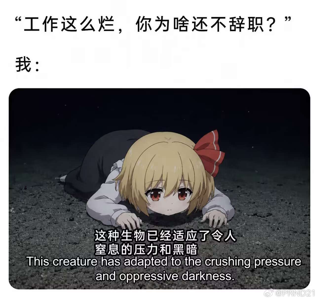 在东方群里总能找到奇奇怪怪的合理meme…… 