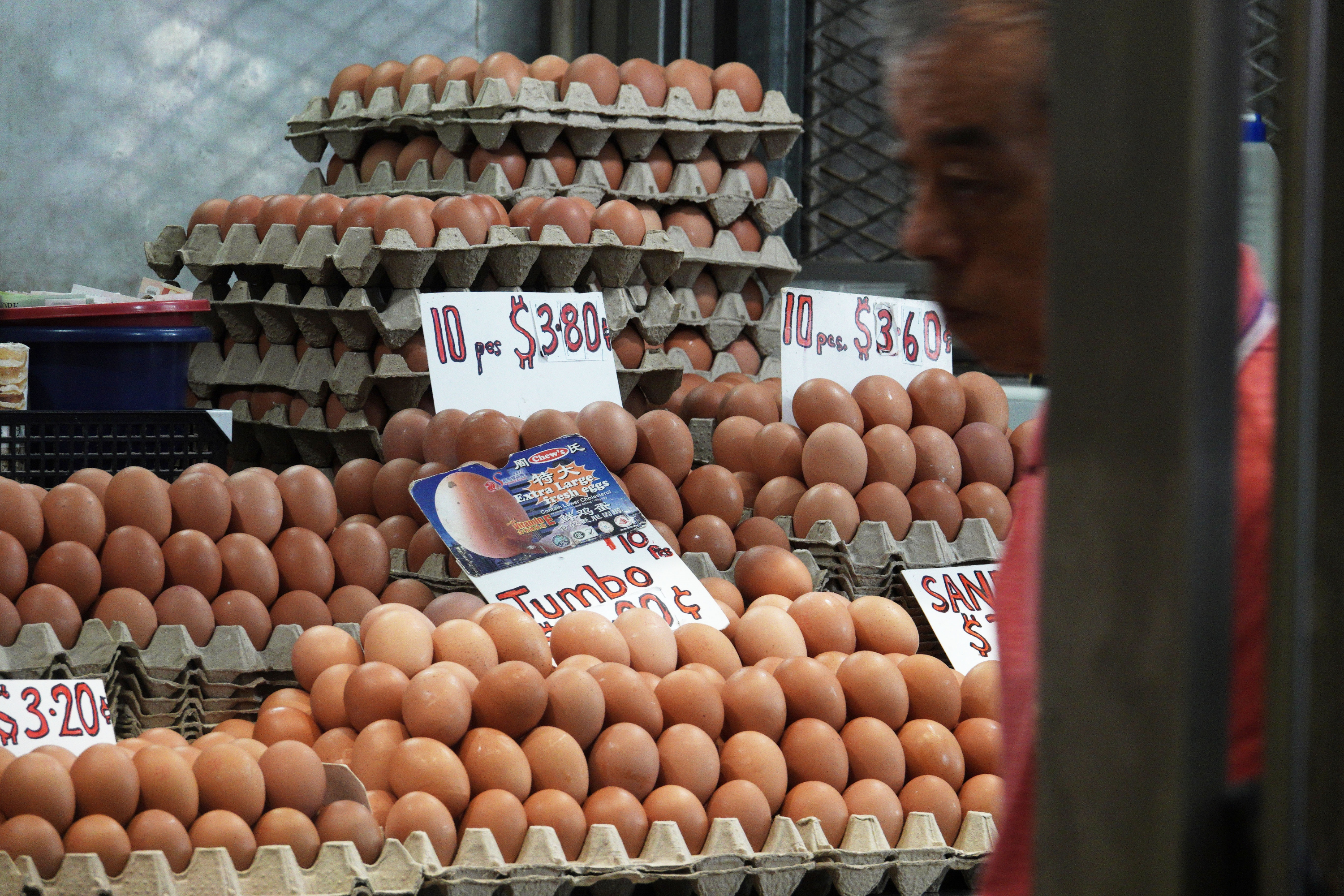 #蛋清蛋白可清除永久化学品#【研究发现：蛋清蛋白可清除“永久化学品”】据《印度教