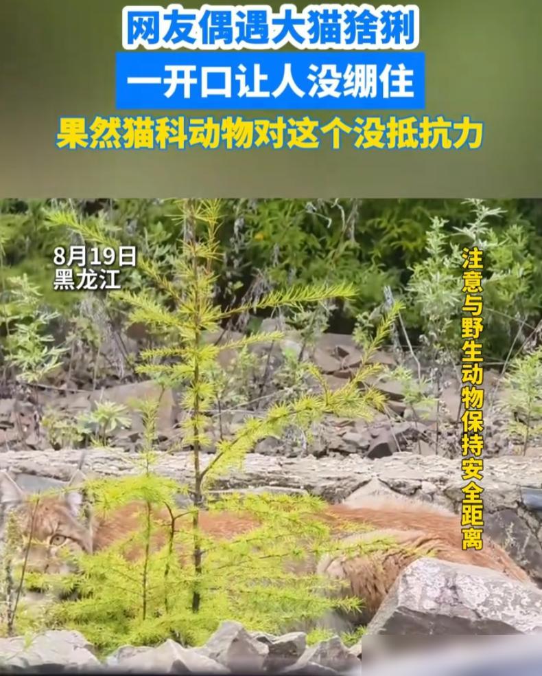7月16日，是一个此生永远铭记的日子

真的给所有上有老下有小的中年人提个醒，千