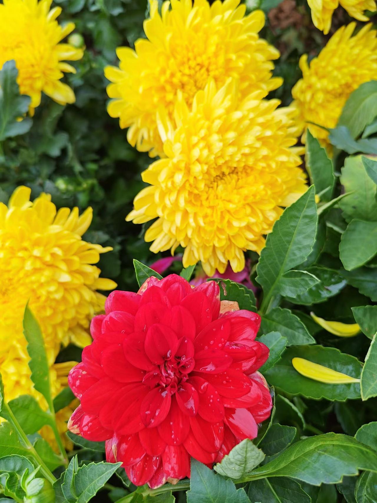 “爱出者爱返，福往者福来”
  付出爱和幸福的人，最终也能收获爱与幸福。