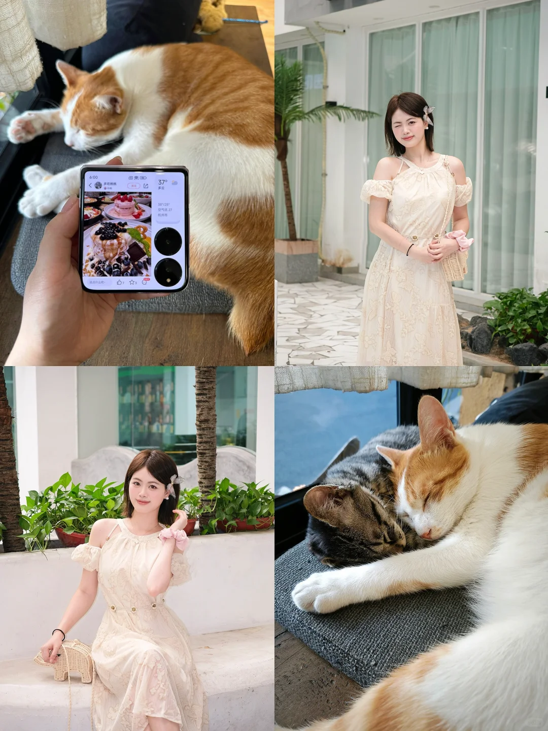 就是这个小东西让我的日常更精彩～