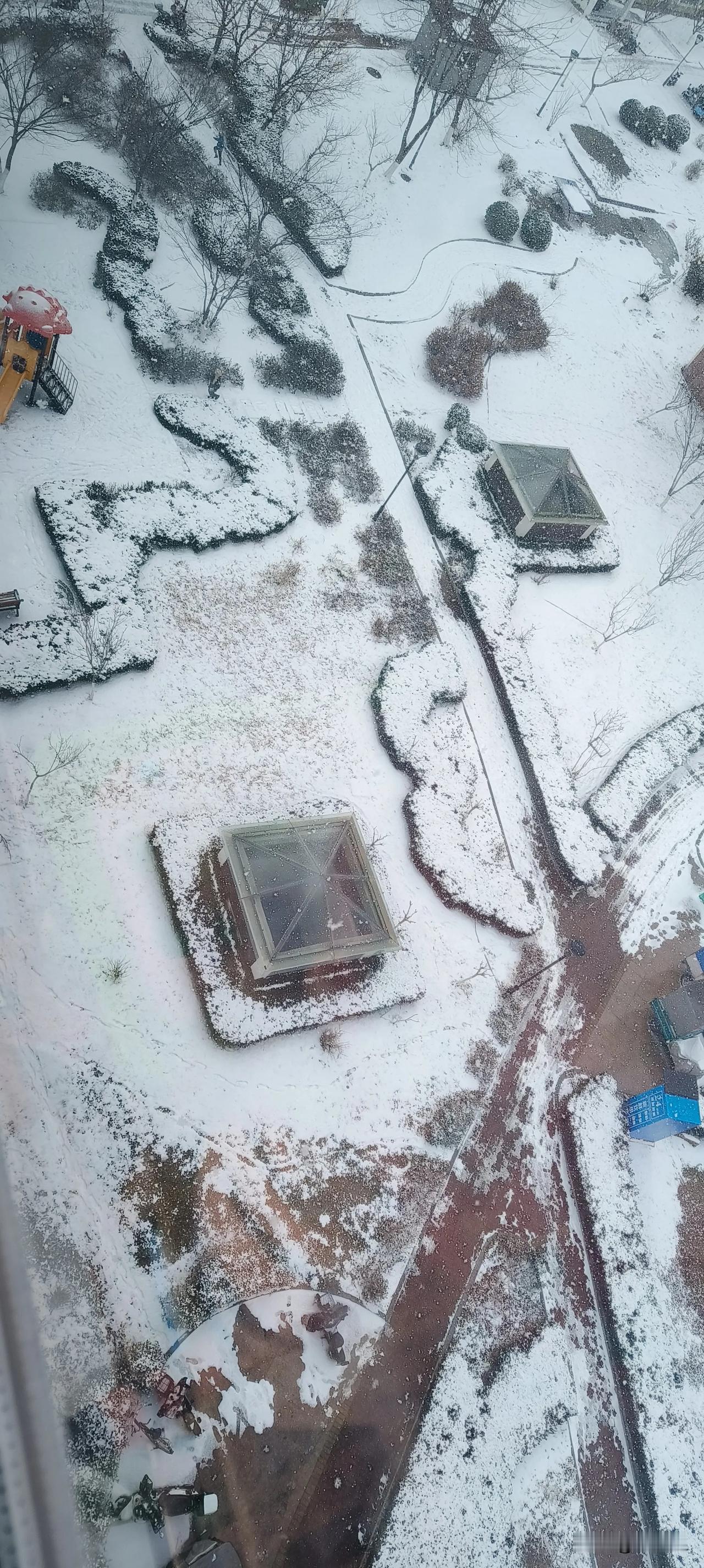 今天又开走了三个小时的车程，终于赶在大雪来临前安全到家。

今早从老家走的时候，