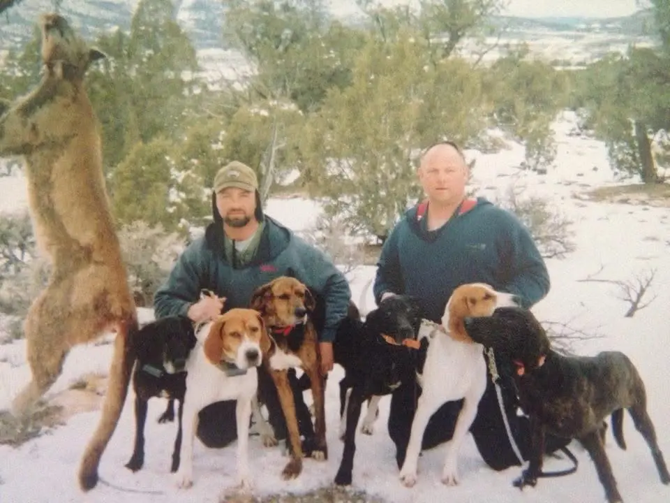 Treeing walker and plott