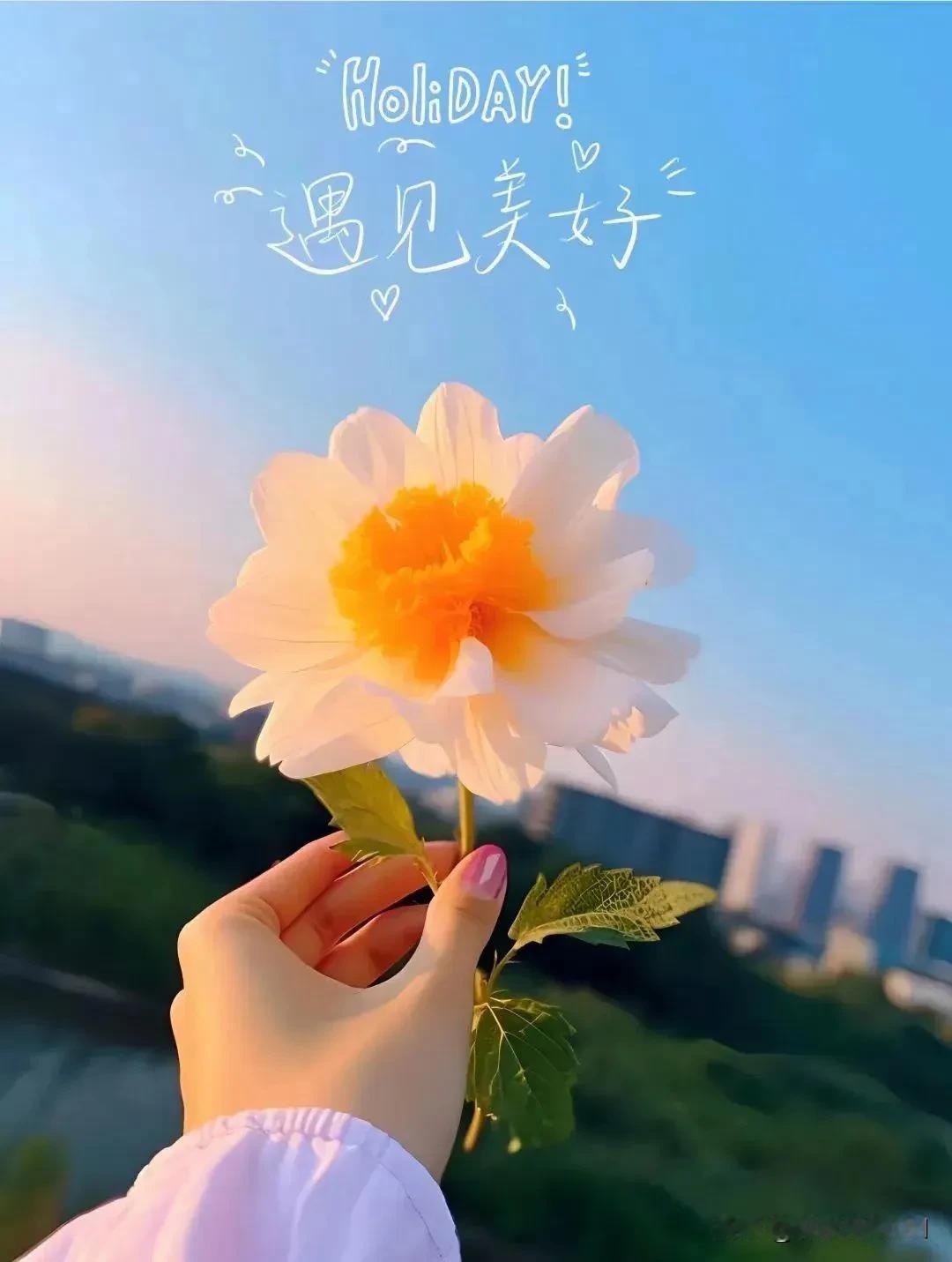 
今天是6月25日星期二，农历五月二十，早安。生活不可能总是花好月圆，凡是尽力而