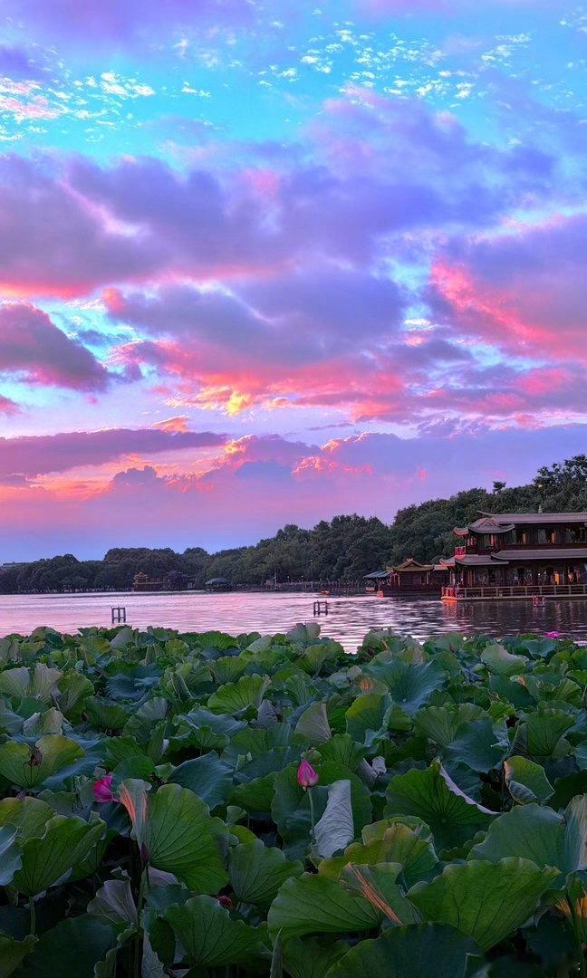 去杭州西湖打卡现代人的鹊桥 又是一年一度七夕来到，专属于小情侣的浪漫约会圣地，那