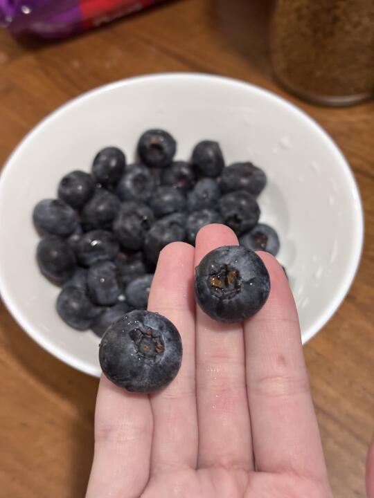 一定要吃！巨甜巨甜的蓝莓！
