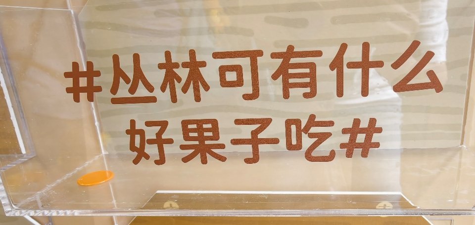 还有周果子的事 
