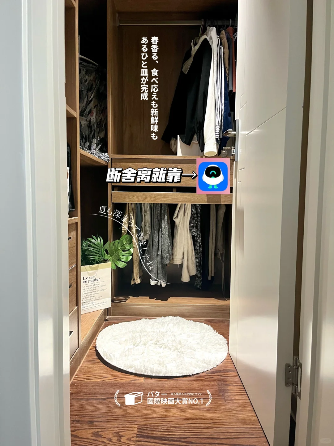 30+未婚独居|断舍离是与自我和解的过程