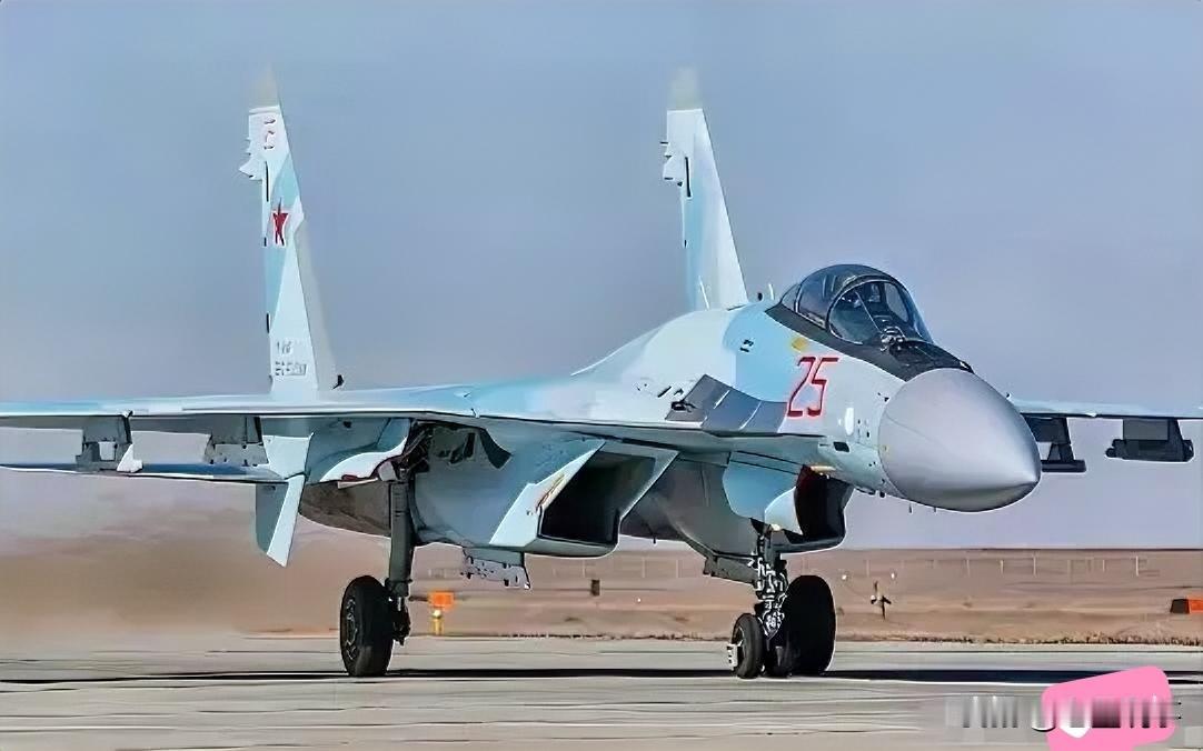 伊朗终于拿到新战机了！不是网上传的48架，是首批16架，其中12架已经停在伊朗的