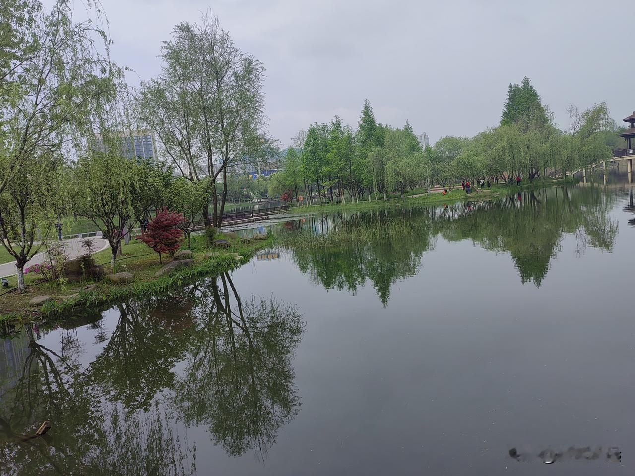 布谷鸟
昨天我在后湖听到两只鸟在“布谷布谷”地叫着。

难道这就是传说中的布谷鸟