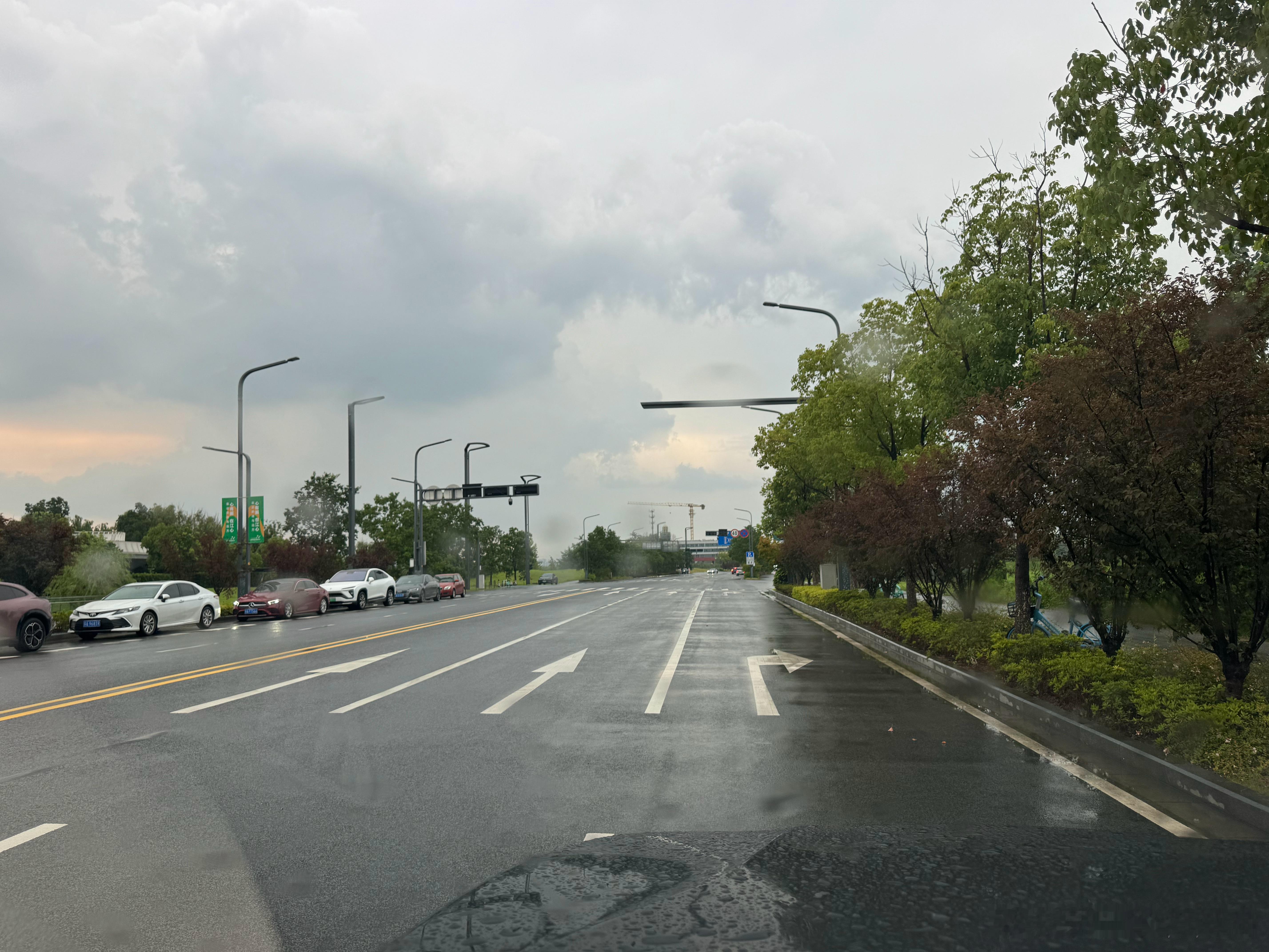 暴雨突至，莫名兴奋，将车缓缓驶入雨中，无目标地随便游荡，看雨刮发疯似左右摆动，竟