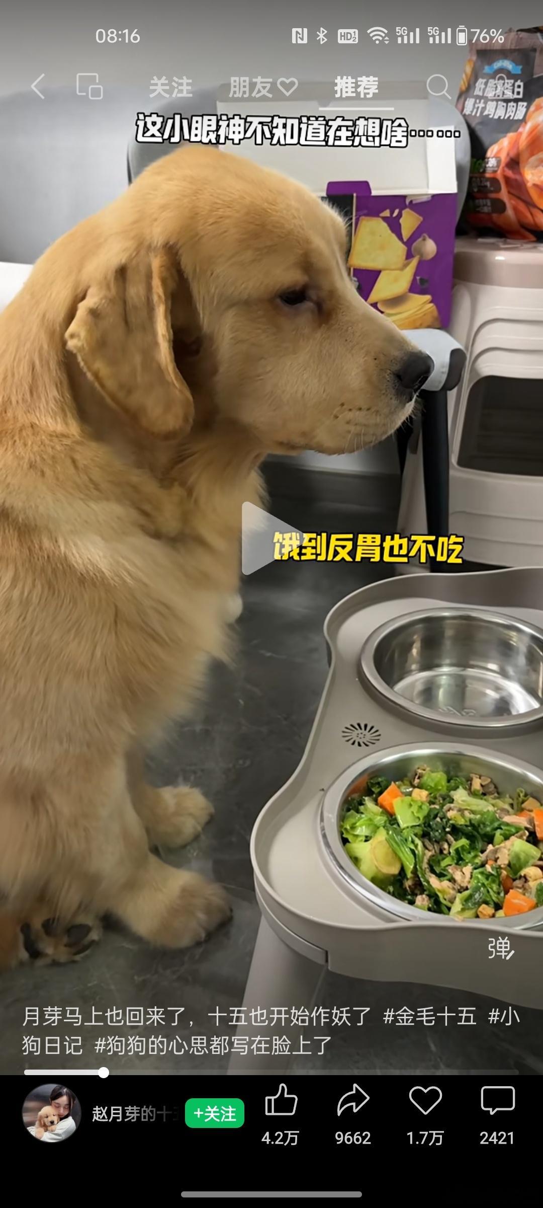 现在自媒体为了拍视频啥都乱弄。狗是兔子吗，喂菜？这么喂狗的肠胃早晚吃坏。 