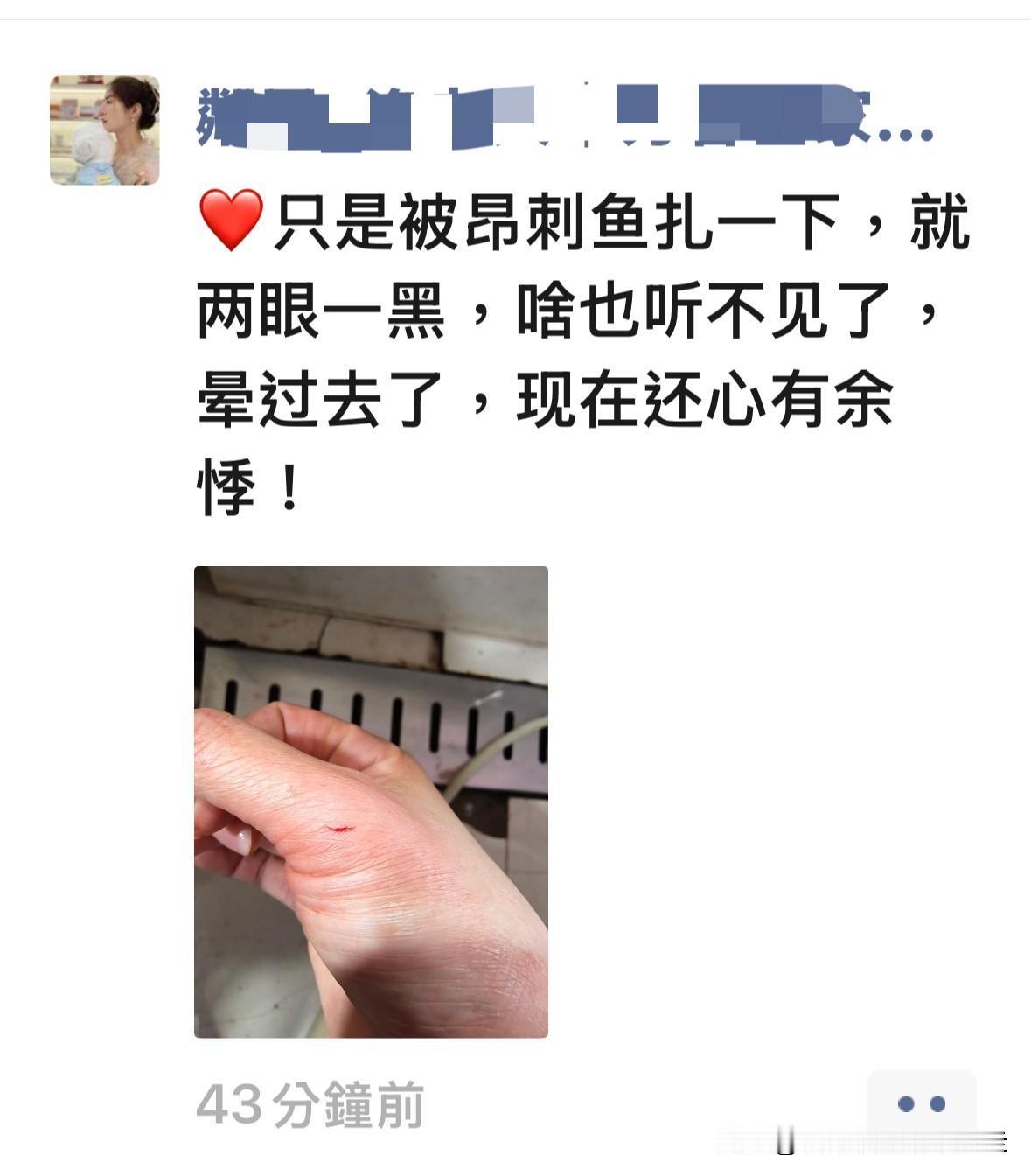 台北人在苏州，早上刷朋友圈，看见常去买鱼鲜的那家市场老板娘，在摊位处理鱼时，不过