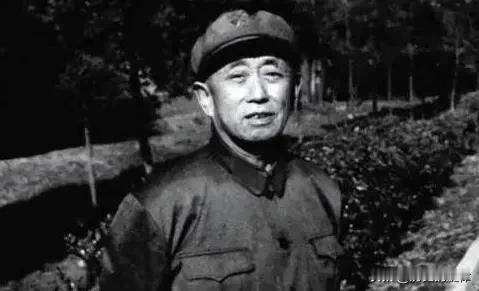 1979年，开国名将求助徐向前，元帅罕见动怒：不准踢皮球！
 
1979年，柳荫