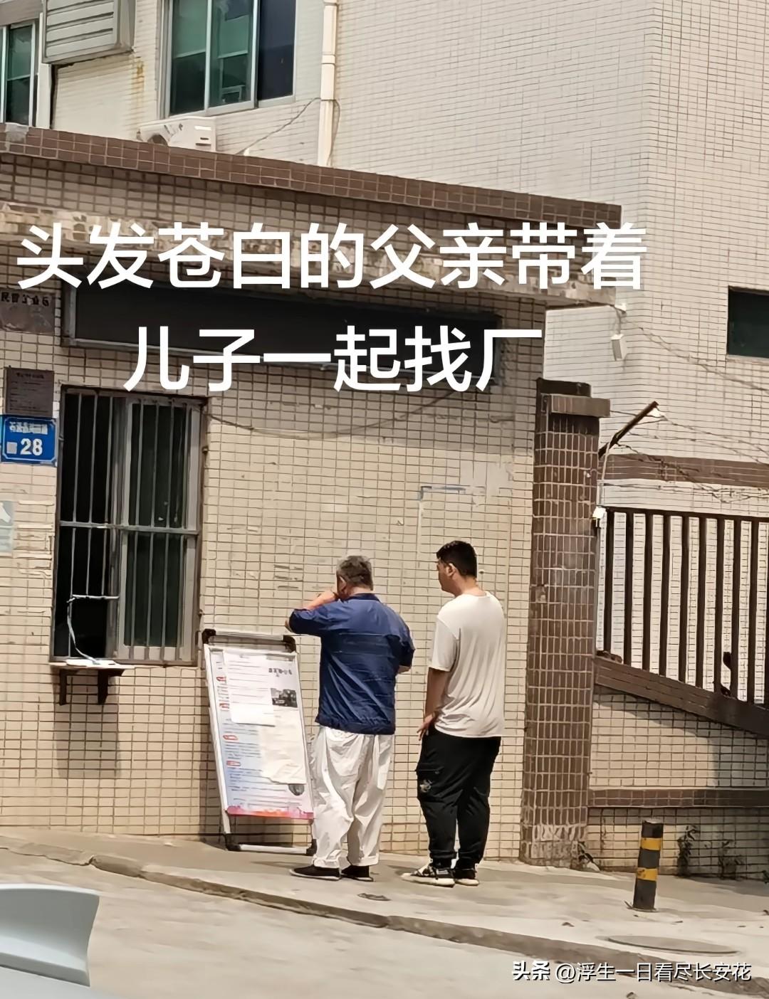 头发花白的父亲陪着儿子站在工厂门口的招工启事前，仔细打量着上面的内容，这一幕看得