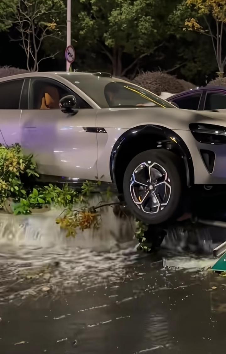 怎么回事？怎么我天天刷到某品牌汽车的事故视频，一天好几起，而其他品牌的却很少刷到