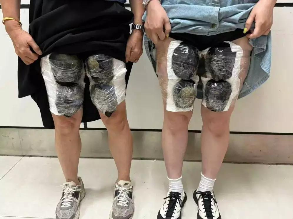 深圳湾海关发现8名女子入境时，把53只活体龟绑藏在大腿部、腰部、胸部，部分还藏在