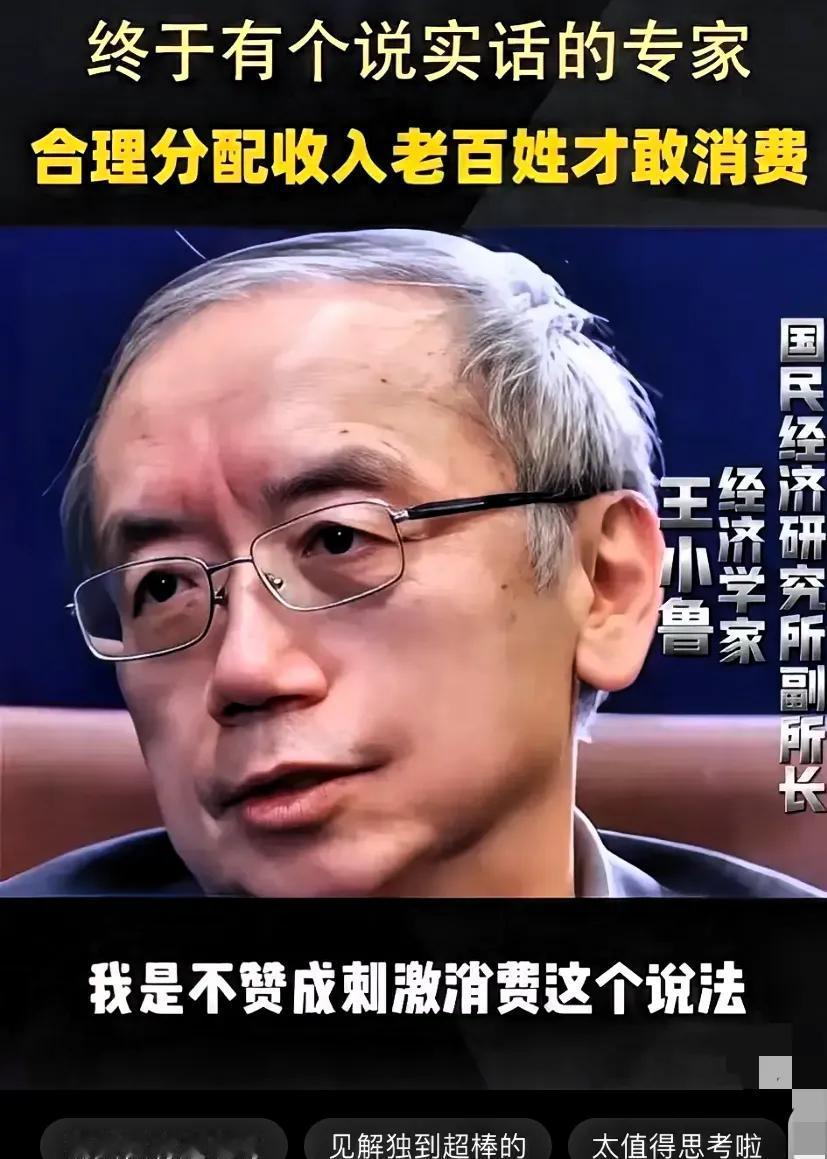 王小鲁：一语惊醒梦中人！

王小鲁说的很简单，搞什么“刺激消费”根本没用。想让大