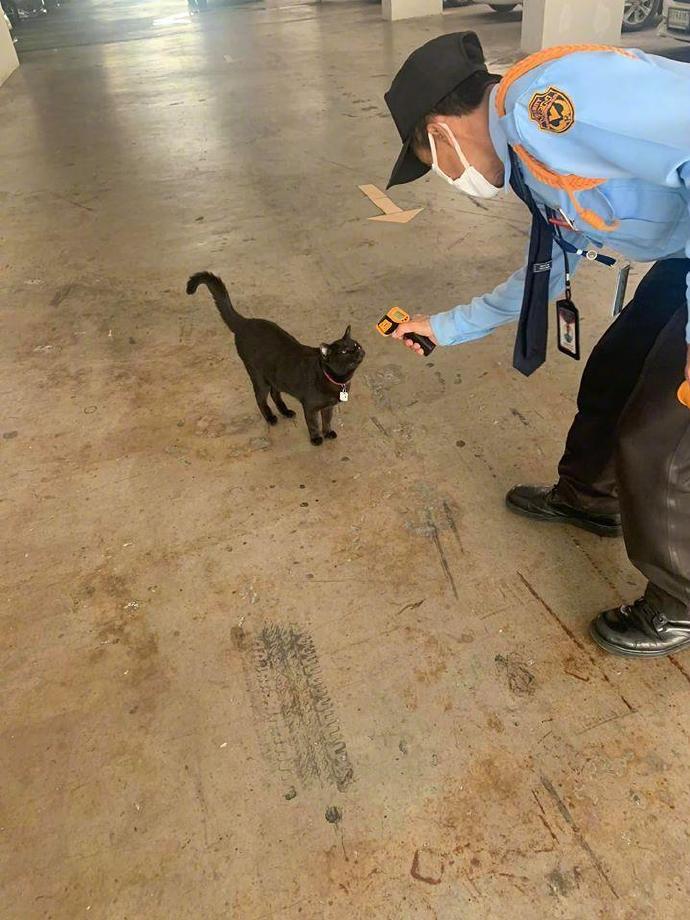 喵：？？？？？？？