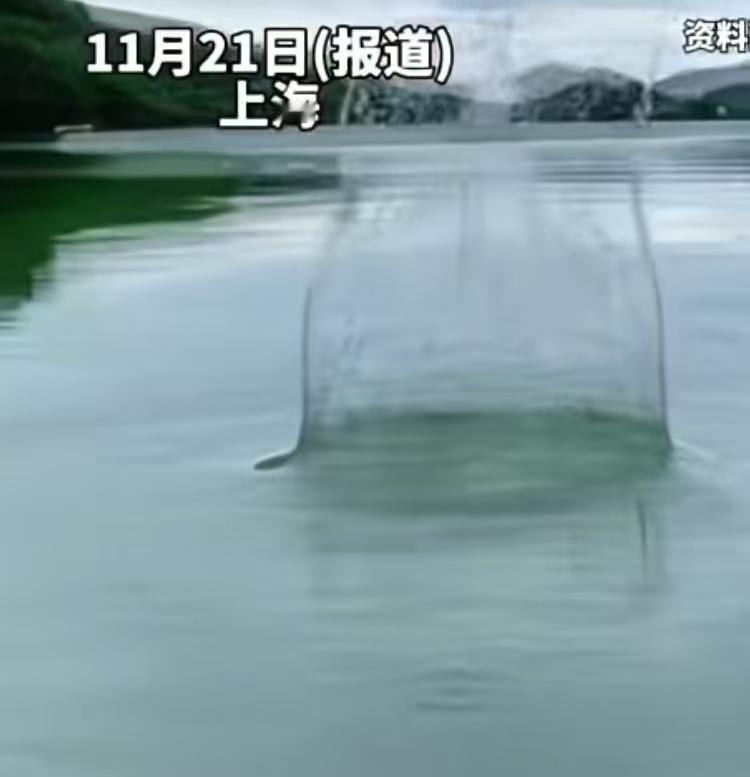 上海一女子见义勇为救落水同事双双溺亡，此前公司已其购买意外险，保险公司以“醉酒”