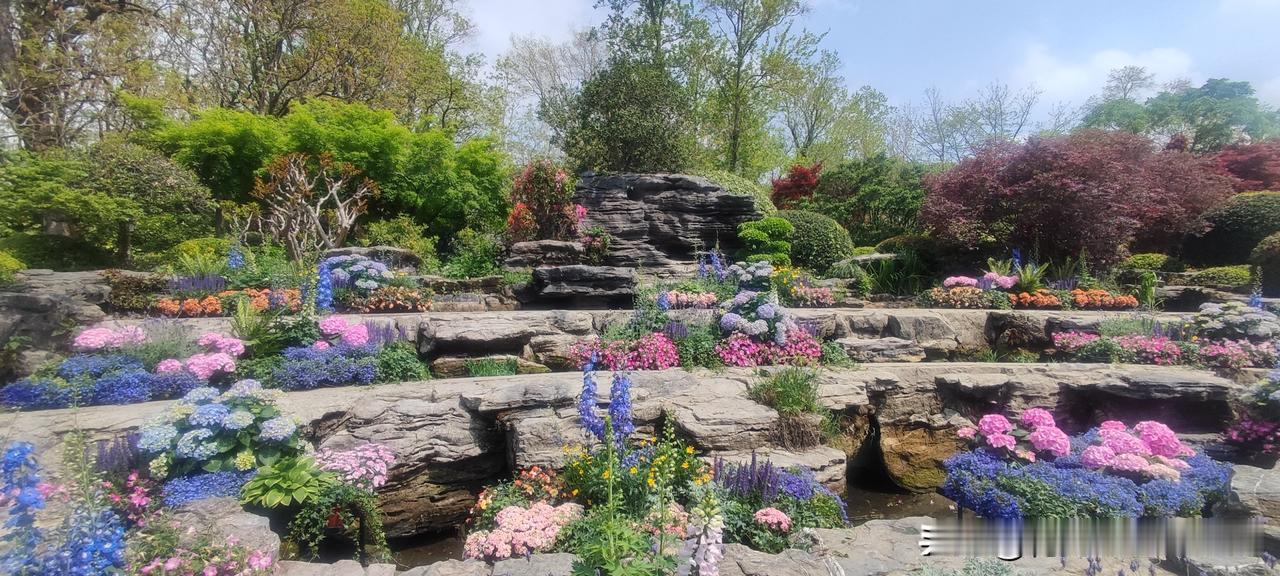 都在说上海国际花卉节活动，还没正式开始。
反正我不管，有空正好去瞄一眼。
3号门