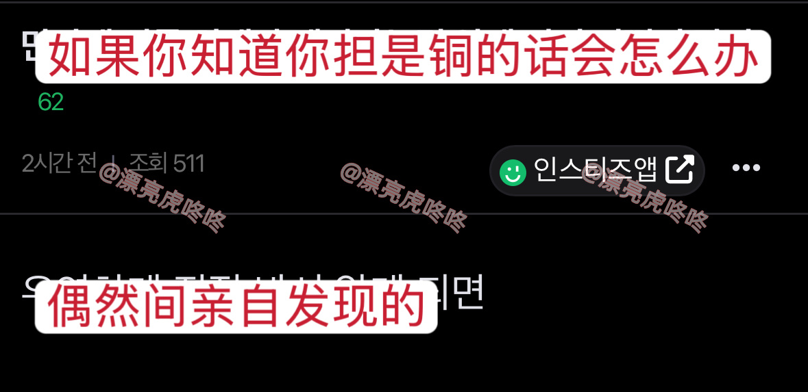 【instiz】如果你知道你担是铜的话会怎么办？ ​​​
