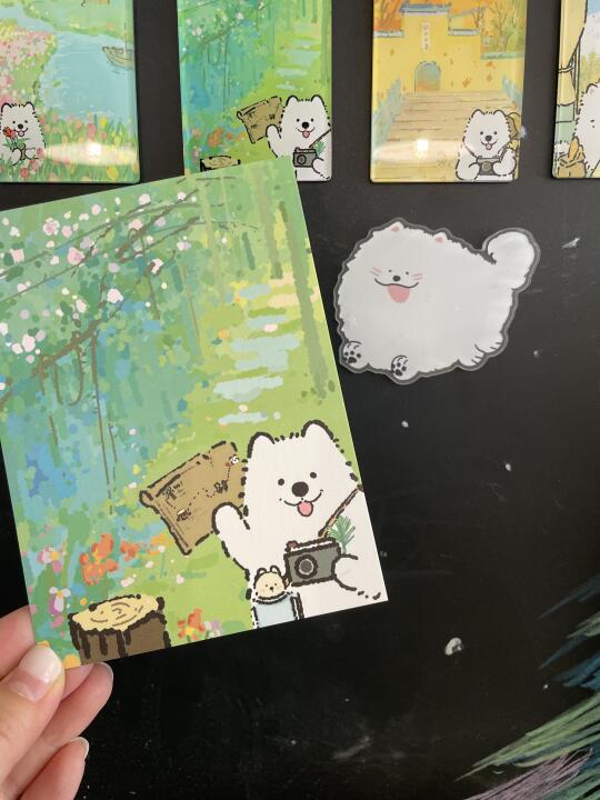 妈妈今天去光顾了耶耶的地摊