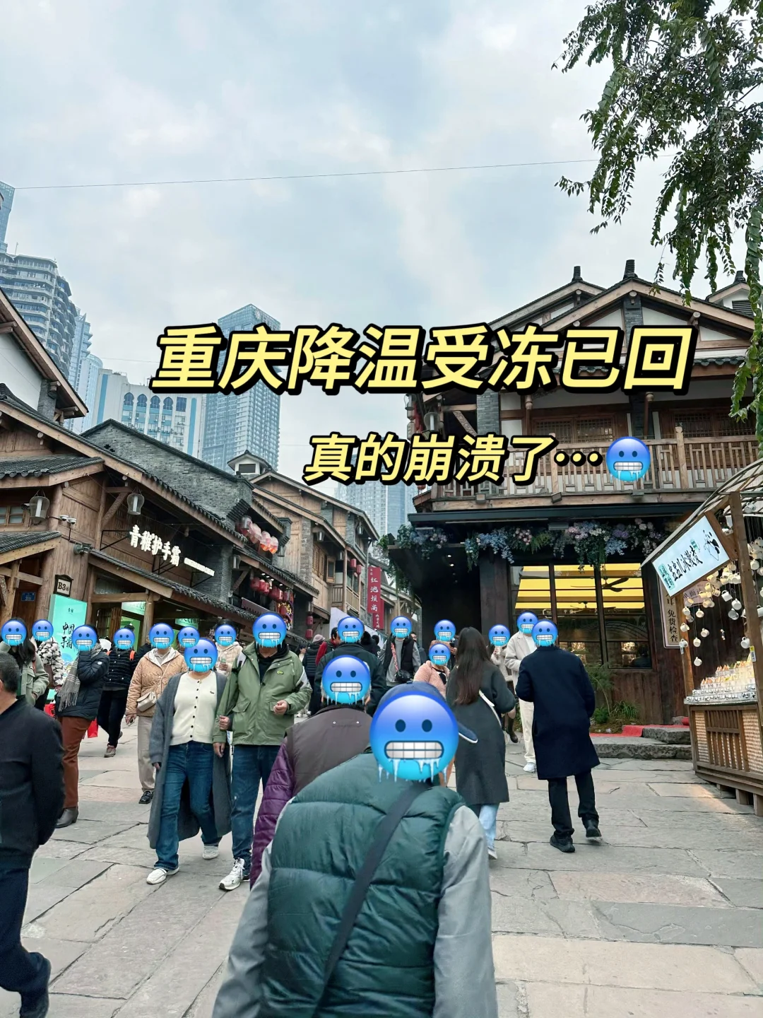 12.1 重庆受冻已回🤬真的崩溃了。。。12