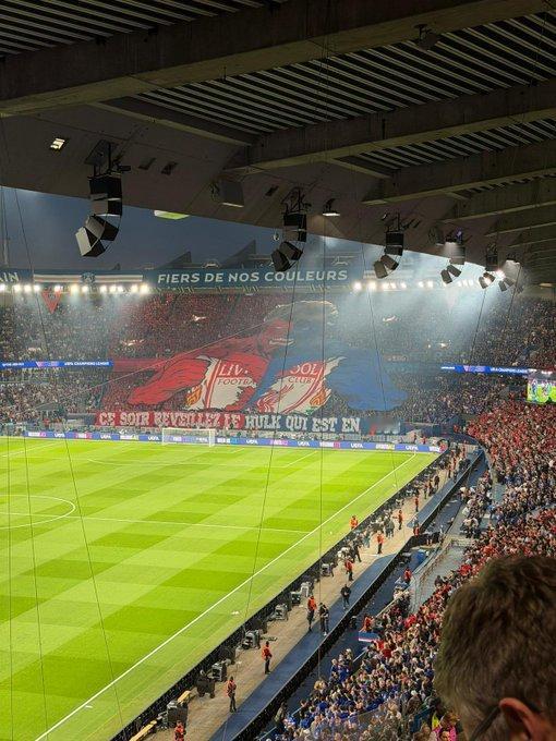 三中卫的求生欲 