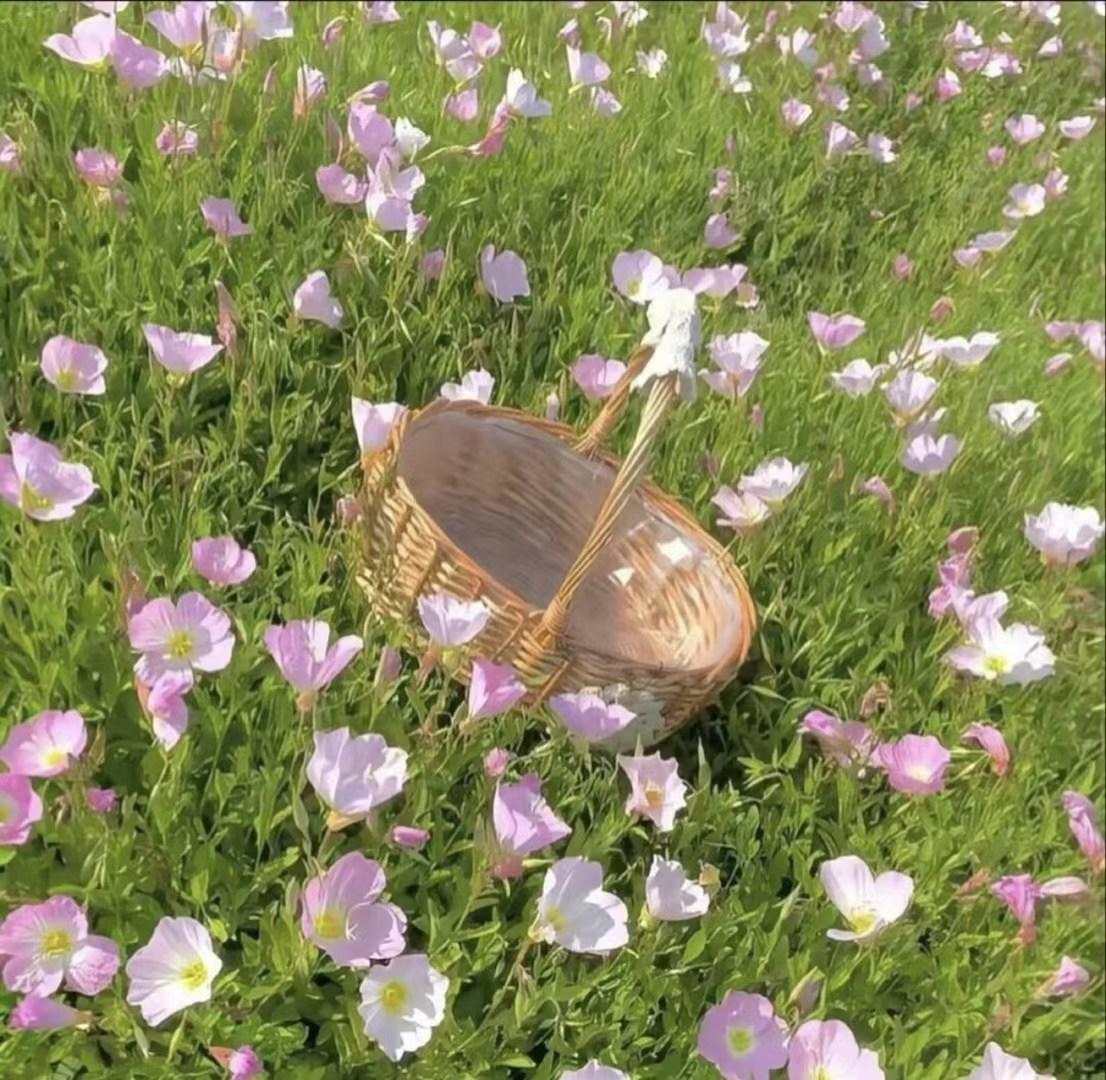 人到中年，我觉得真得认真打扮自己。就拿我身边的例子来说，有个叔叔以前不太注重穿着