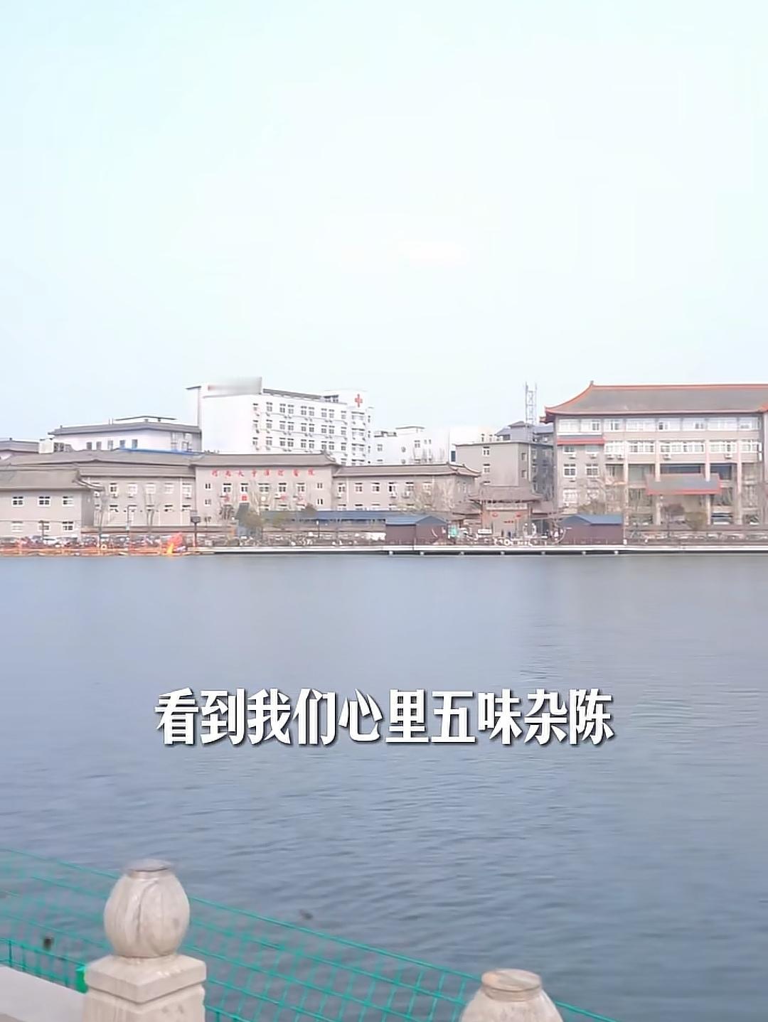 莫让恶意曲解，辜负一位母亲的舐犊情深
 
错换人生事件至今仍有杂音，对方支持者持