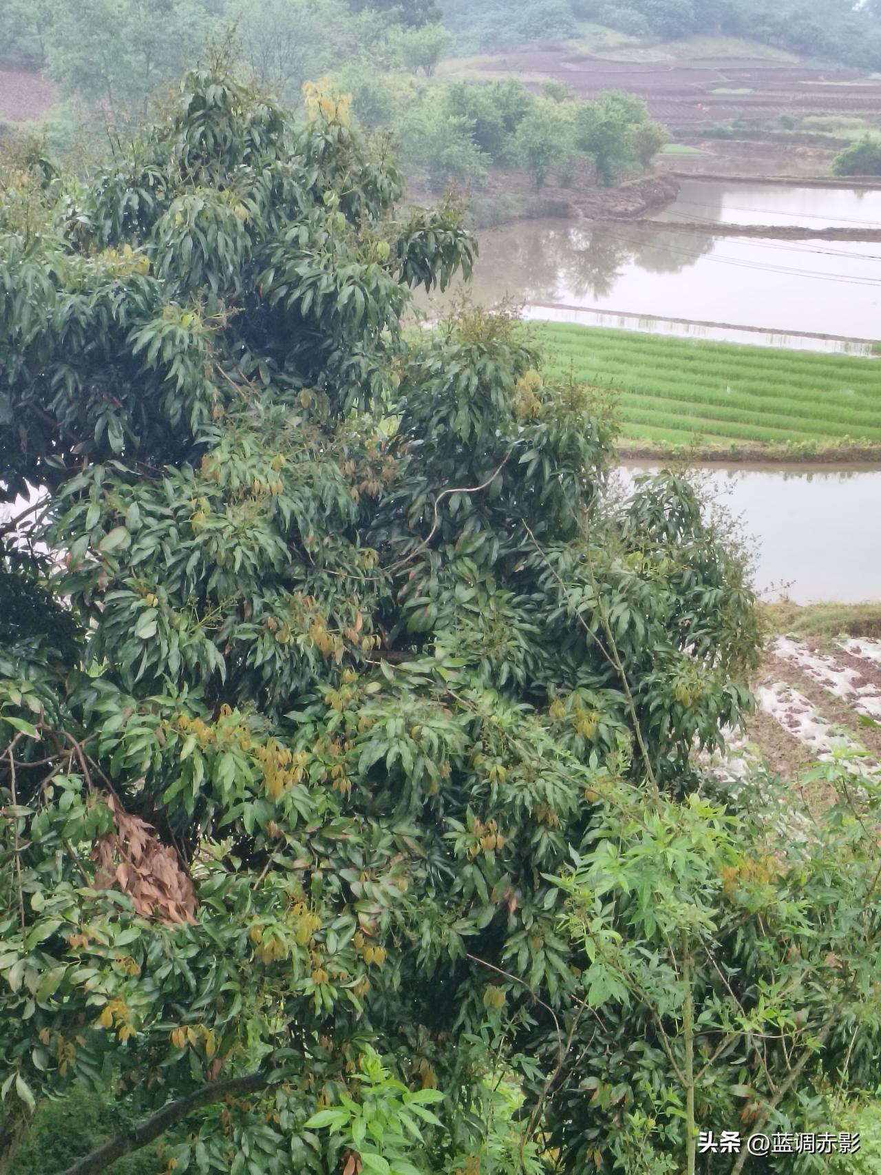 春日生活打卡季