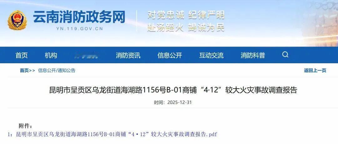 2025年12月31日，云南消防政务网正式发布《昆明市呈贡区乌龙街道海湖路115