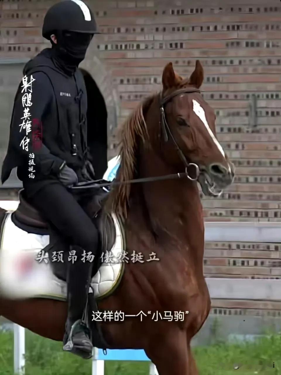 看肖战驯服小红马前，小红马野性高傲，肖战全程是要踩马蹬的。
再看经过肖战两个多月