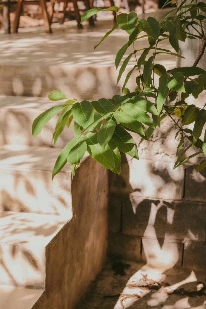 所谓无底深渊，下去，也是前程万里呀。 