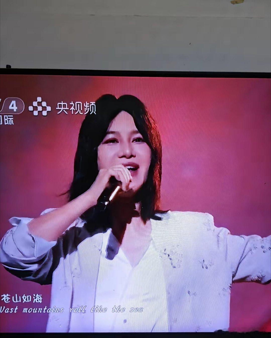 中秋晚会，尚雯婕是不是得罪了造型师，​她怎么戴了这么一顶一眼假，还非常难看的头发