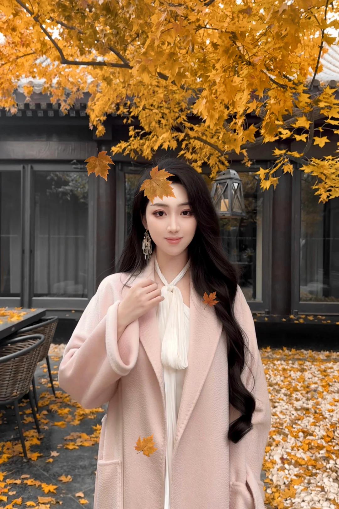 京兆尹下午茶☕️五角枫不错🍁